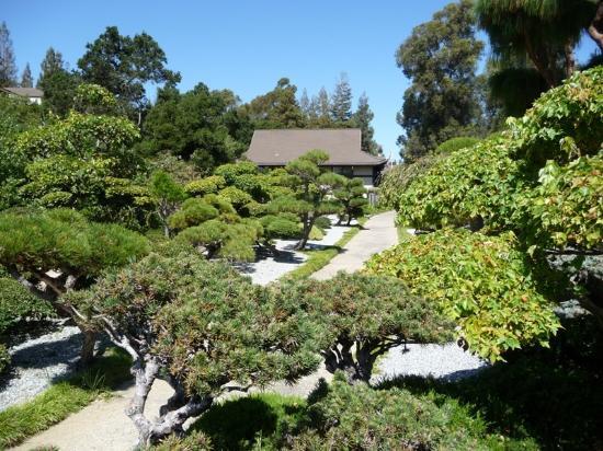 Hayward Japanese Gardens